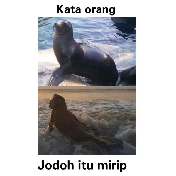 Gak gini juga keleusss..
