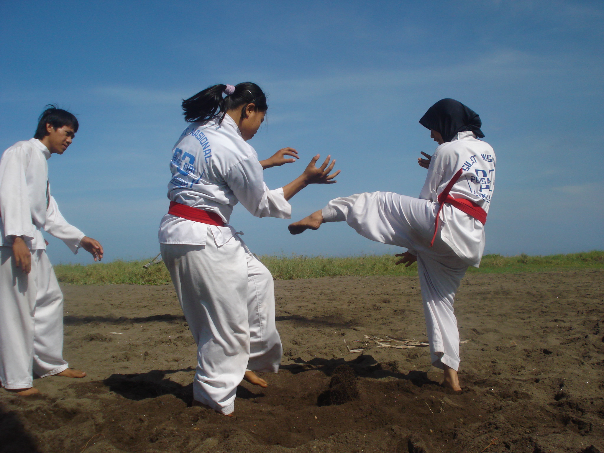 Ini lho Seni Beladiri Asli  Indonesia yang  Harus Kamu 