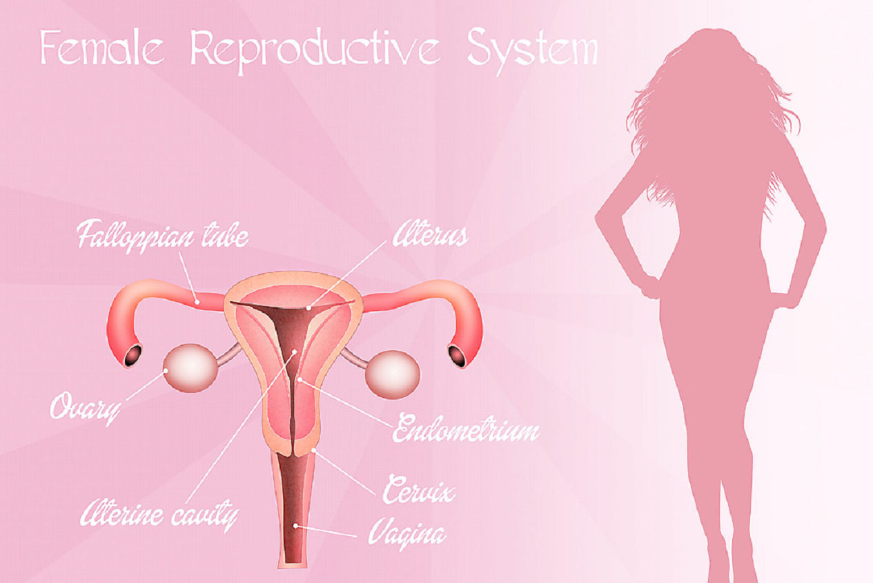 Khusus Wanita: 9 Langkah Mudah Jaga Kesehatan Reproduksi 3