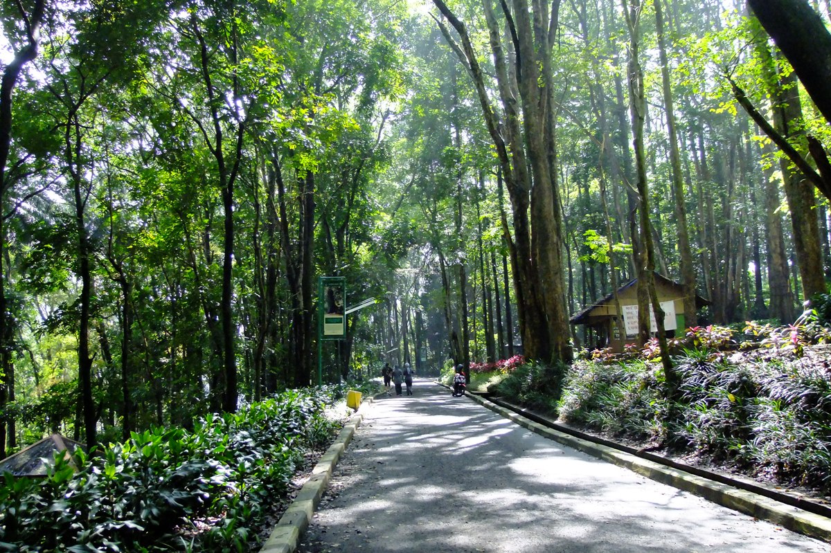 Gak Perlu Jauh-jauh ke Luar Negeri, Kalau Indonesia Punya 7 Taman Kota Cantik ini 1