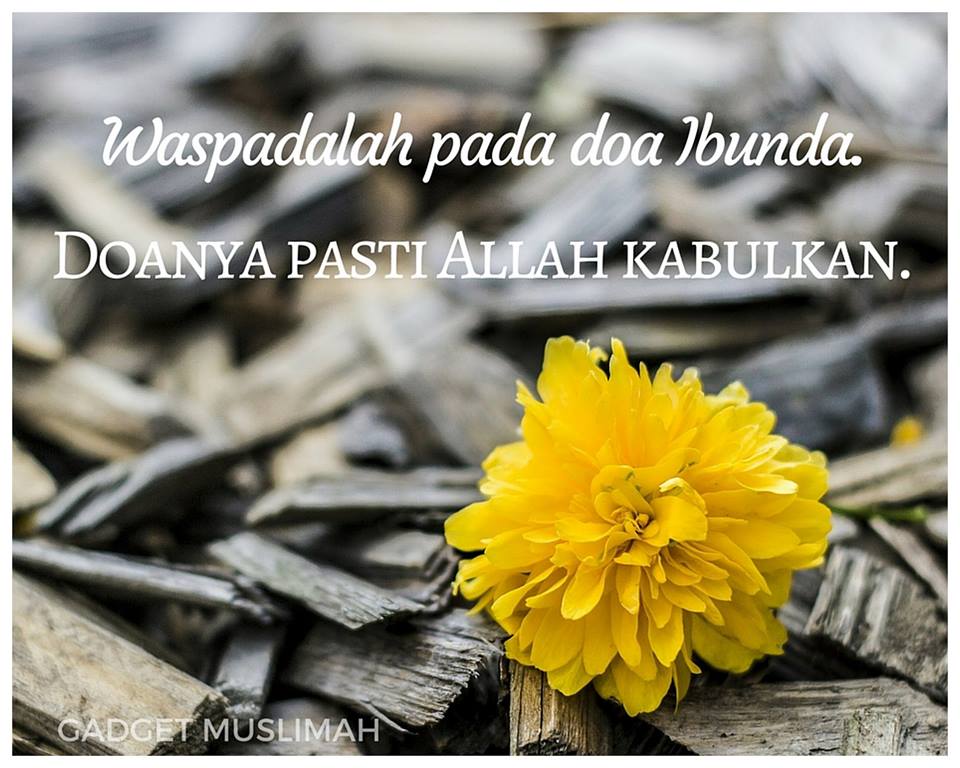 Waspadalah Pada Doa Ibu, Allah Pasti Kabulkan Doanya 10