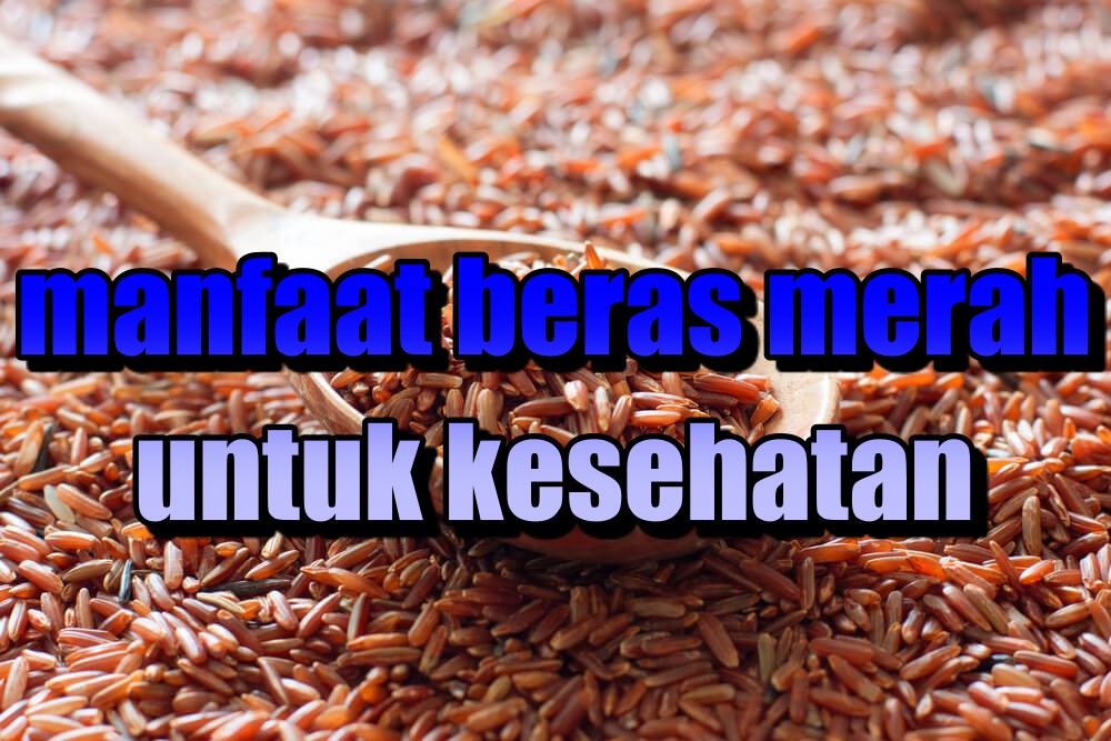 Manfaat Beras Merah Bagi Kesehatan yang Harus Kamu Tahu 1