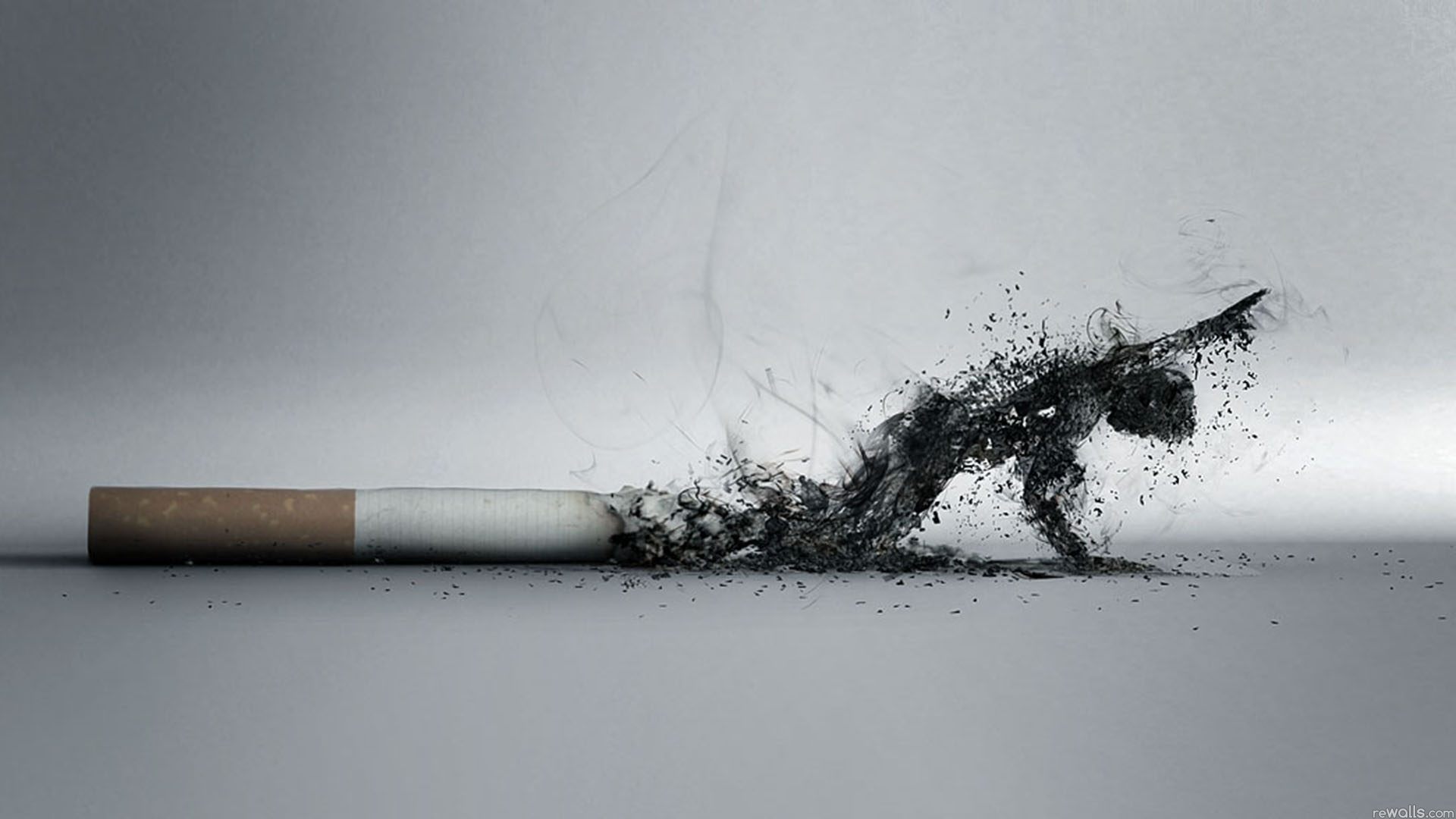 Bahaya Merokok Bagi Kesehatan Tubuh Manusia 1