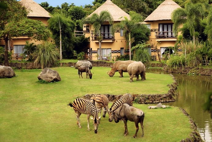 9 Tempat Wisata Fauna di Bali yang Asyik Untuk Anakanak